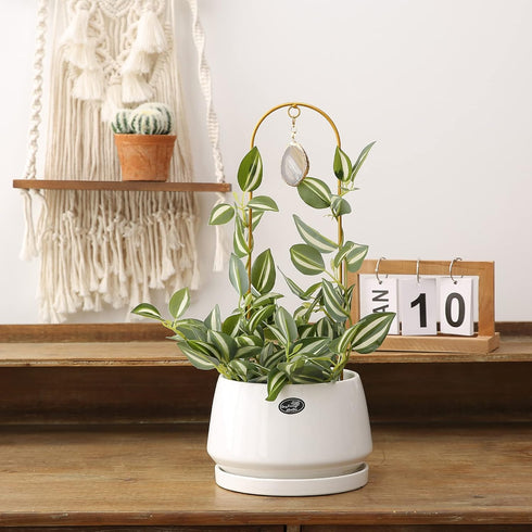 2PCS Small Plant Gold Trellis Indoor, Mini Metal Houseplant Decor Support for Potted Ivy Vine, Boho Garden Decorative