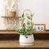 2PCS Small Plant Gold Trellis Indoor, Mini Metal Houseplant Decor Support for Potted Ivy Vine, Boho Garden Decorative