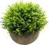 Mini Fake Cypress Cedar Plants - Small Artificial Faux Greenery for Bathroom Home Office Desk Decor (Potted Plants) (2)