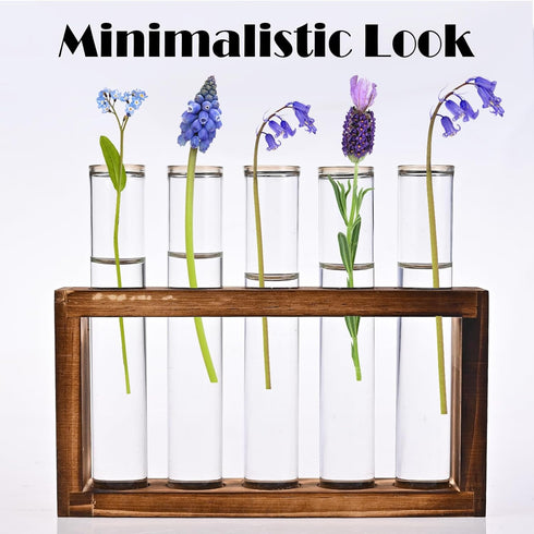 Tigvio 5 (5 Desktop Glass Plant Propagation Station with Test Tubes in Wooden Stand - Hydroponic Plants Cutting Office