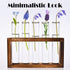 Tigvio 5 (5 Desktop Glass Plant Propagation Station with Test Tubes in Wooden Stand - Hydroponic Plants Cutting Office
