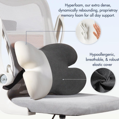 Lumbar Support Pillow for Office Chair, Memory Foam Back Cushion with 3D Mesh Cover for Lower Back Pain Relief