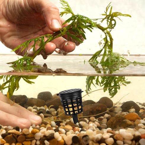 Yardwe 50pcs Bonsai Fertilizer Baskets, Mesh Baskets with Lid for Planting Nutrition Cups, Succulent, Orchid