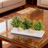 FMOACEN 5 2 PCS Plastic Plant Tray Saucer with Removable Drain Plugs Rectangular Window Sill Drainage Tray for Indoors