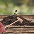 YARNOW 24 Pcs Mini Zen Mini Zen Garden Rake Sand Tray Rake Sandbox Rake Sand Rakes Bamboo