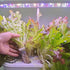 (100pcs) Grow Sponges, Starter Pods Compatible with Aero Garden,Refill Pods for Hydroponic Growing System