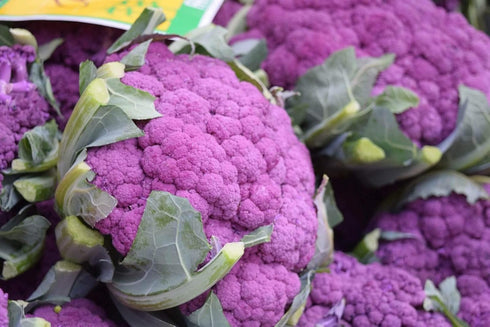 NIKA SEEDS 100 Seeds Vegetable Cauliflower Purple Cabbage - Seeds