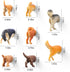 8Pcs Add Some Humor and Funny to Your Fridge with Dog Butt Magnets - Perfect for Home Refrigerator Magnets for Adults or Kids (Dog Butts)