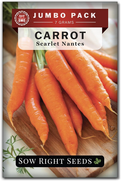 Sow Right Seeds - Bulk Scarlet Nantes Carrot Seed for Planting -