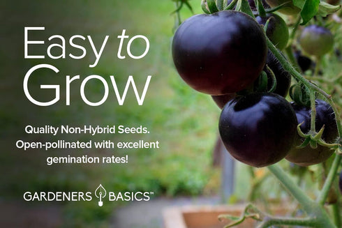 5 Pack Gardeners Basics, Rare Tomato Seeds for Planting Variety Heirloom Tomato Seeds, Cherokee Purple, Black Krim