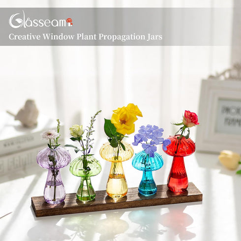 Glasseam Mushroom Plant Propagation Station: Cute Glass Terrarium Jar with Wooden Stand Unqiue Planters for Indoor