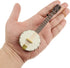 Dselvgvu (5.51" Wooden String Miniature Banjo Hanging Ornament Mini Musical Instrument Replica Holiday Tree Home