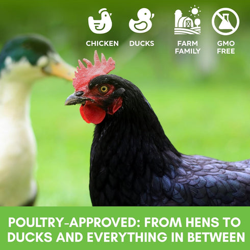 8oz Farm Party Herbal Hootenanny Chicken Nesting Herbs - Chicken Dust Bath Mix Deodorizer Keeps Nest Boxes & Coop Fresh