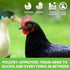 8oz Farm Party Herbal Hootenanny Chicken Nesting Herbs - Chicken Dust Bath Mix Deodorizer Keeps Nest Boxes & Coop Fresh