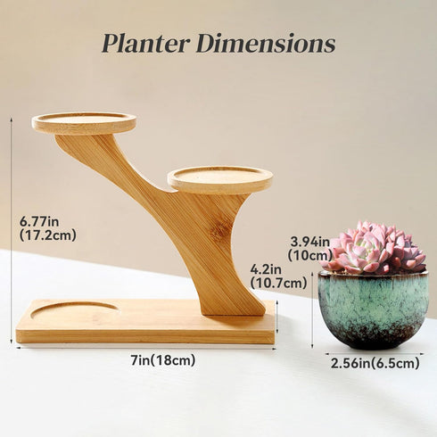 3 (#006) Succulent Pots with Tier Bamboo Saucers Stand Holder Modern Decorative Ceramic Flower Pots with Drainage Mini
