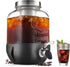 dailybrew Cold Brew Coffee Maker, 1 Gallon Iced Coffee Maker With Stainless Steel