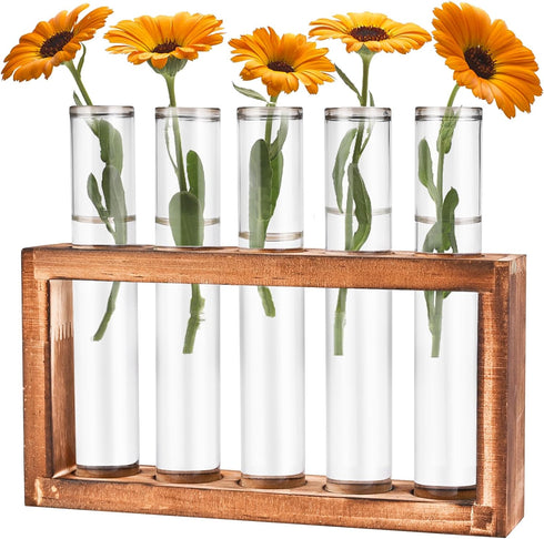 Tigvio Desktop Glass Plant Propagation Station with 5 Test Tubes in Wooden Stand