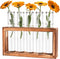 Tigvio Desktop Glass Plant Propagation Station with 5 Test Tubes in Wooden Stand