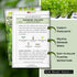 Packet (1) Sow Right Seeds - Chinese Celery Seeds for Planting - Non-GMO Heirloom with Instructions to Plant and Grow a