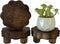 DEMULANS 3 Pack Tiny Scalloped Wood Risers for Display ,Small Wooden Stands with