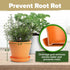 8 Set HOME GROWN Gift Herb Kit Herb Seeds with Basil, Cilantro, Mint & More, Complete Indoor Grow Kit for Kitchen