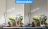 Growing,5000K Starting,Dimmable GooingTop Grow Light for Indoor Plants White Full Spectrum Gooseneck Plant Lamp