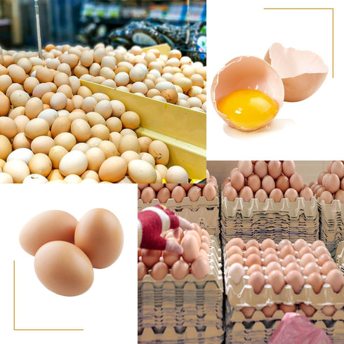 20 30-Cell 30 Flats Egg Crate?Holds Eggs?, Cardboard Egg Cartons, Sturdy and Stackable Egg Flats, Perfect Egg Crates