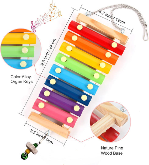 CHNB 8PCS Chicken Toys for Coop Accessories, Chicken Swing, Xylophone, Mirror, Vegetable Hanging Feeder, Fruit Rack