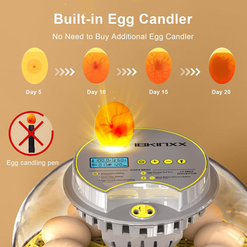Eggs-12 2026 360 Incubator for Hatching Egg Capacity, Newly Upgraded Automatic Egg Turner, Temperature & Humidity