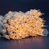SWEET SHINE 200 Count Pack 2 100 Count 33 Clear Christmas Lights, of Strands ft White Wire UL Listed Holiday String