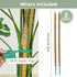 2 Pack 48'' Bendable Moss Pole Monstera Plant Support for Climbing Indoor Plants - Stakes for Potted Climbers - Tall