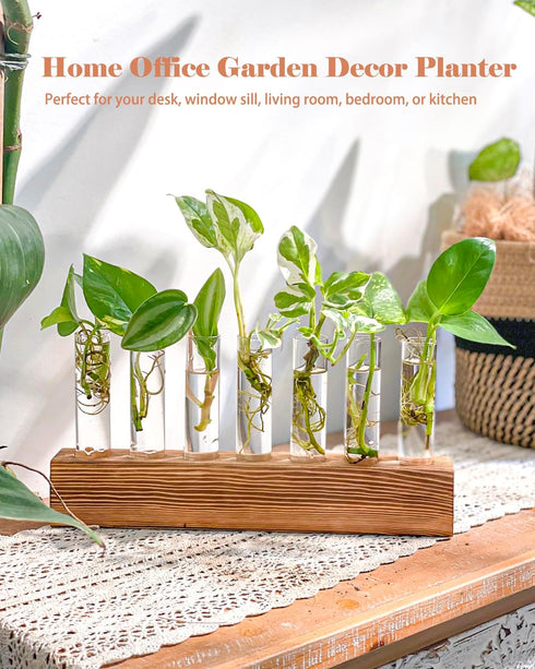 7 KAXYEW Plant Terrarium with Wooden Stand, Plant Propagation Tubes, Test Tubes Glass Planter for Hydroponic Plant