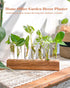 7 KAXYEW Plant Terrarium with Wooden Stand, Plant Propagation Tubes, Test Tubes Glass Planter for Hydroponic Plant