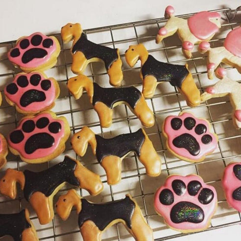 Puppy Dog Paw and Bone Shaped Cookie Cutter, Stainless Steel Biscuit/Fondant Molds, Homemade Baking Tools by EORTA, Set