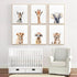 Joocrise Set 6 12x16 Inch Safari Nursery Wall Art Decor of Baby Animal Wall Art Kids Canvas Wall Art Safari Nursery
