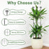 32in 2p Large Indoor Plant Trellis for Climbing Plants, Expandable Metal Garden Trellis for Potted Plants, Tall Plant