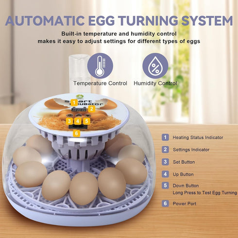 GleeGearNex 12 Gen I - Egg Automatic Incubator, Steady Humidity with Auto-Refill, Stable Temp Control, Auto Egg