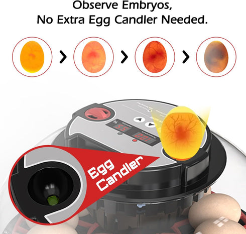 WYD2ANG 12 (M12 Smart Chicken Incubators for Hatching Eggs with Automatic Turner Small Poultry Duck Quail Egg Incubator