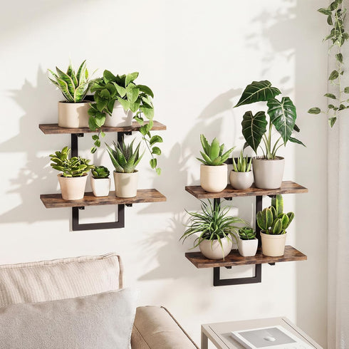 Bamworld Floating Shelves for Wall Planters for Indoor Plants Hanging Shelves Plant