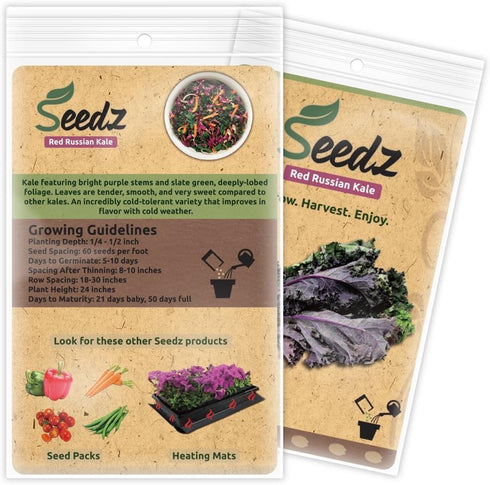 550, Organic Kale Seeds, APPR. Red Russian Kale, Heirloom Vegetable Seeds, Certified Organic, Non GMO, Non Hybrid, USA