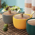 everous Salt Box base grey color Salt Cellar Elegant Design salt Boxes Big Capacity Wood lid grey Ceramic Base