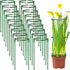 36Packs Plant Support Stake Half Round Plant Support for Indoor Plants, Stackable