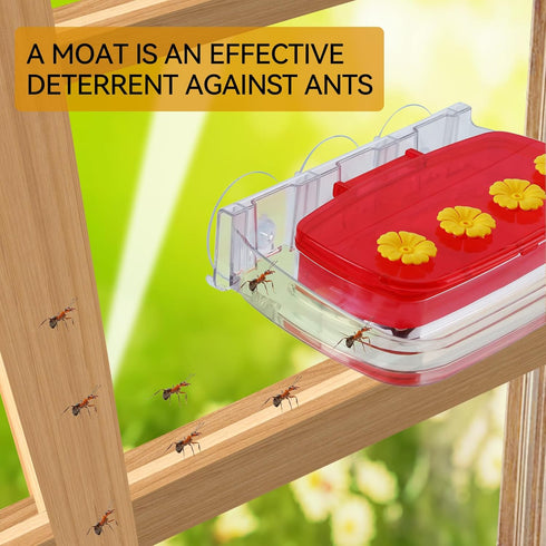 Window Hummingbird Feeder, Plastic Feeder with 3 Strong Suction Cups, Easy to Clean and Refill, Built-in Moat (10oz)