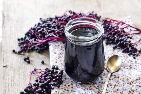 90% Gaea's Blessing Seeds - Elderberry Seeds - American Black Elderberry Heirloom - Non-GMO Seeds with Easy to Follow