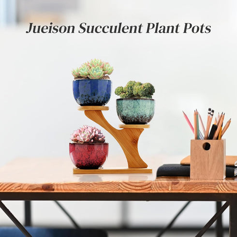 3 (#006) Succulent Pots with Tier Bamboo Saucers Stand Holder Modern Decorative Ceramic Flower Pots with Drainage Mini