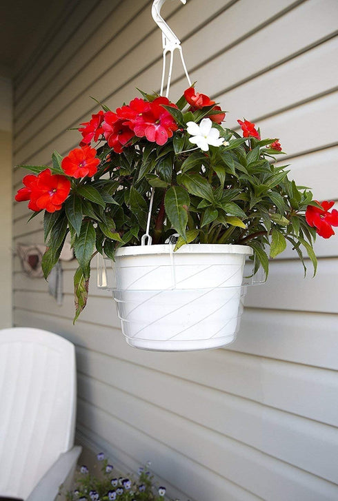 Curtis Wagner Plastics Hanging Basket Drip Pan, Clear, 12 Inch