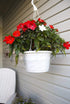 Curtis Wagner Plastics Hanging Basket Drip Pan, Clear, 12 Inch