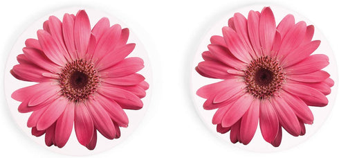 Pink Daisies 2.75 x 2.75 Absorbent Ceramic Car Coasters, Pack of 2