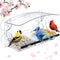 Window Bird Feeder with Strong Suction Cups for Viewing Outdoors