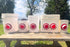 4-Port RentACoop DIY Large Chicken Feeder Kit - Easy Install Ports with Rain Hoods - Suitable for Bantam Chickens